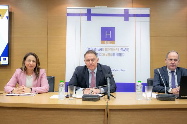 Annual Survey for the Hotel Sector 2024